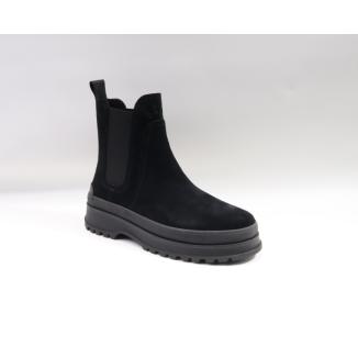Gant