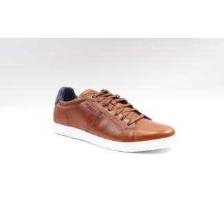 Glenn Strömberg Collection