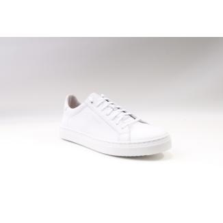 Glenn Strömberg Collection