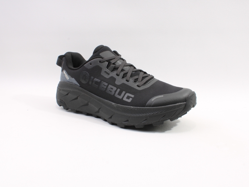 Icebug