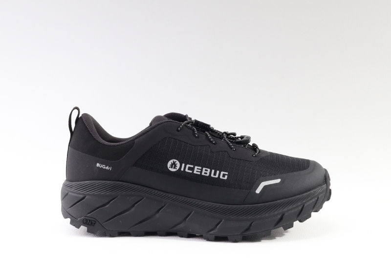 Icebug