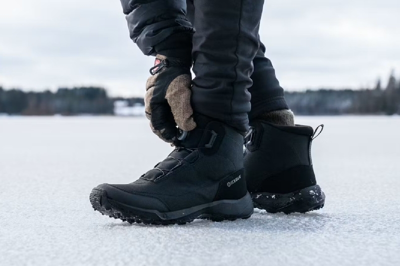 Icebug