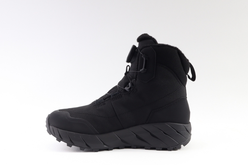 Icebug