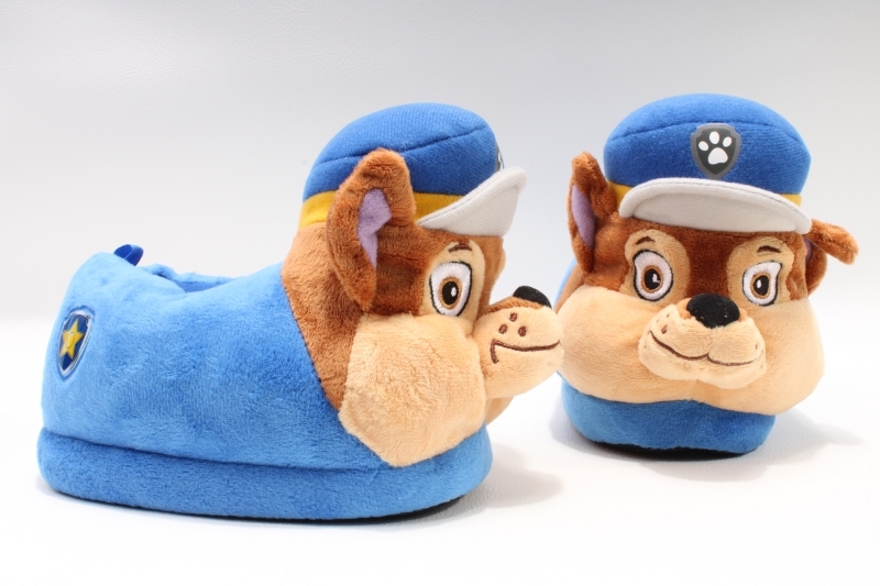 Paw patrol