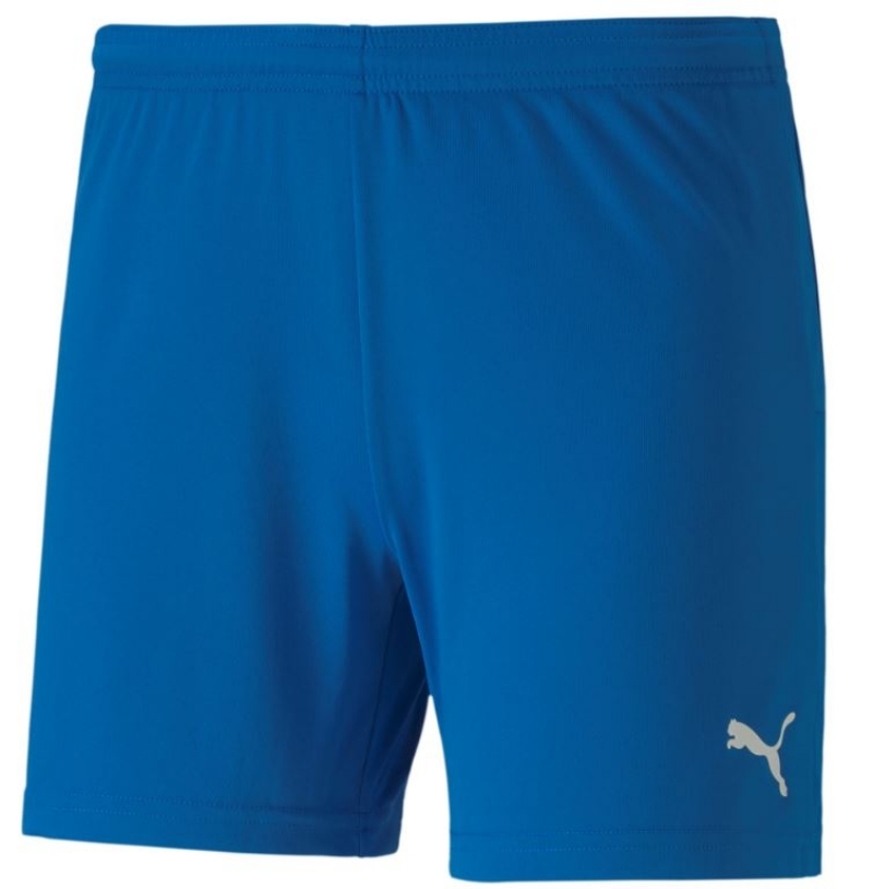 Teamgoal Shorts