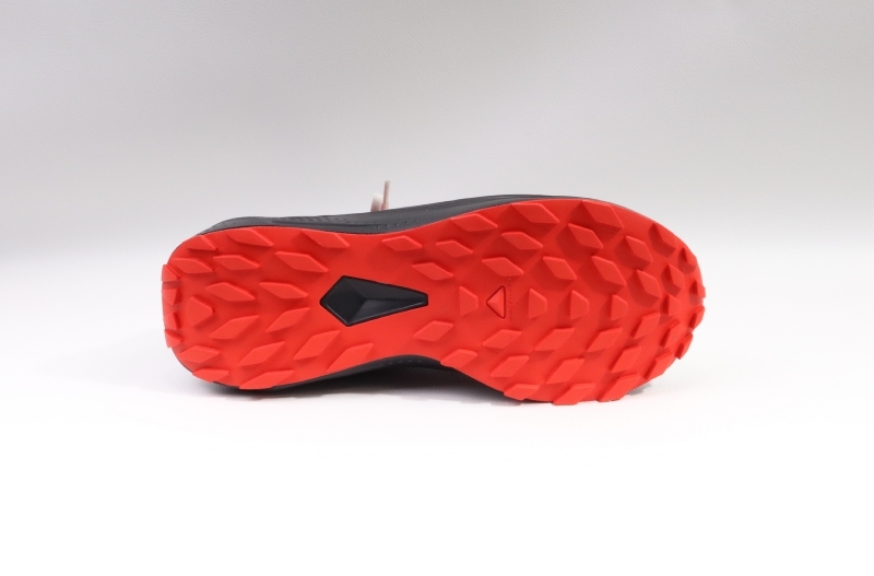 Salomon