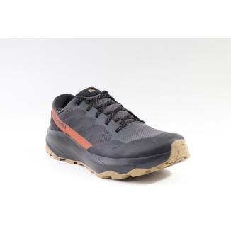 Salomon