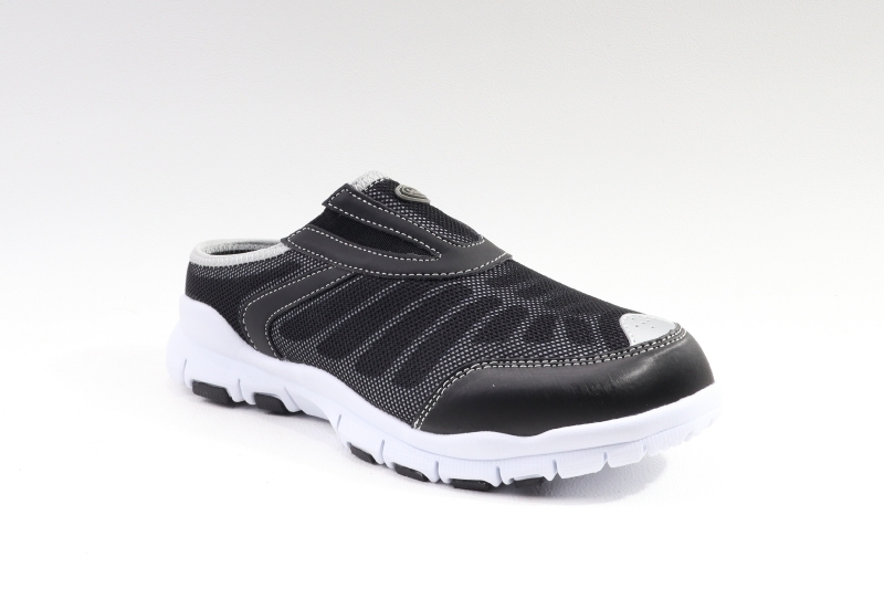 Scholl