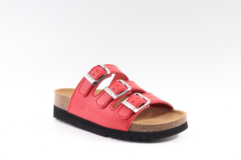 Scholl