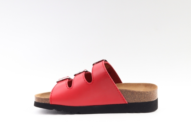 Scholl