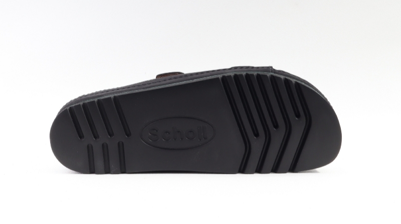 Scholl