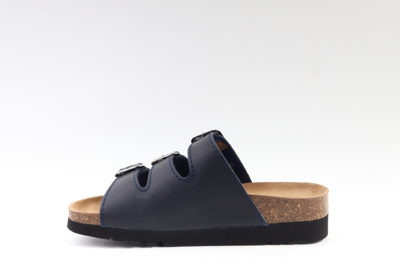 Scholl
