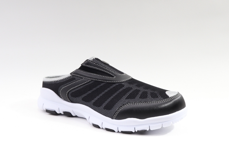 Scholl