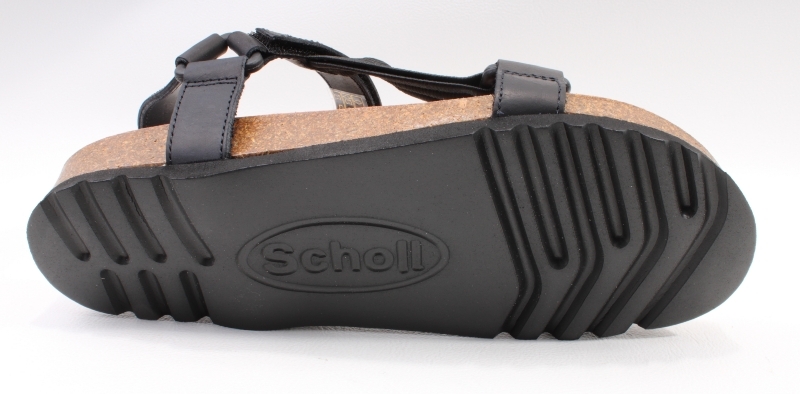 Scholl