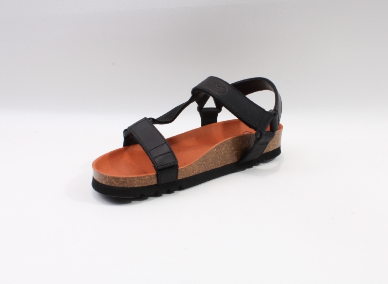 Scholl