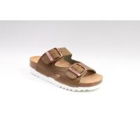 Scholl