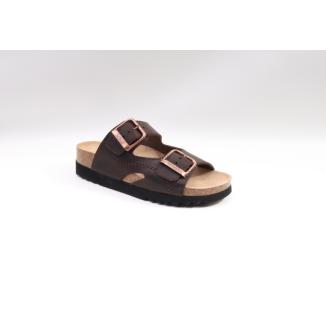 Scholl