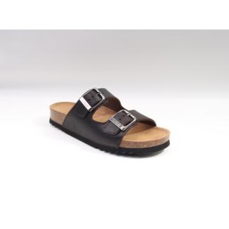 Scholl