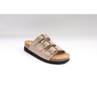 Scholl