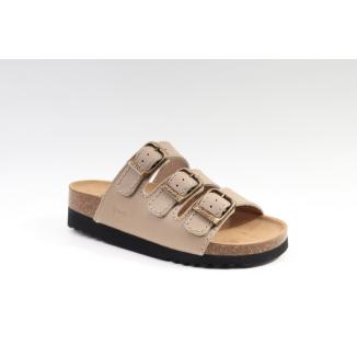Scholl