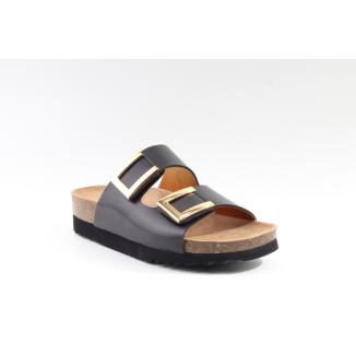 Scholl