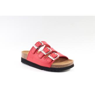 Scholl
