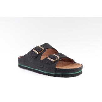 Scholl