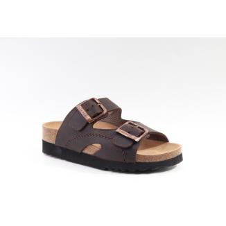 Scholl