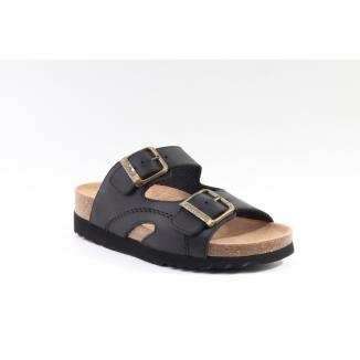 Scholl