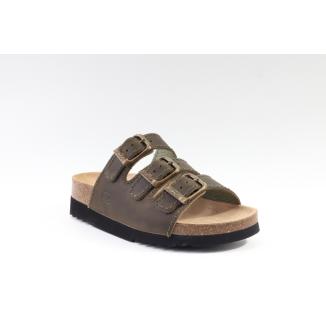 Scholl