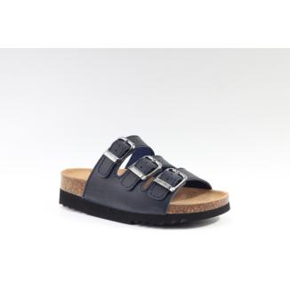Scholl