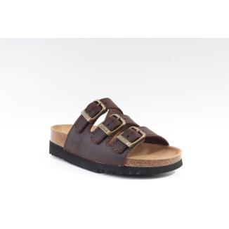 Scholl