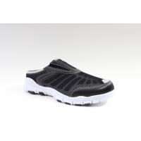 Scholl