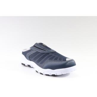 Scholl
