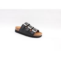 Scholl