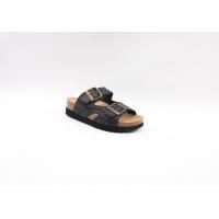 Scholl