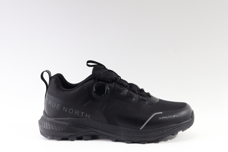True North